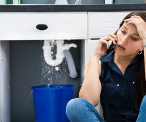 About Plumbers Pros Wellesley Island, NY